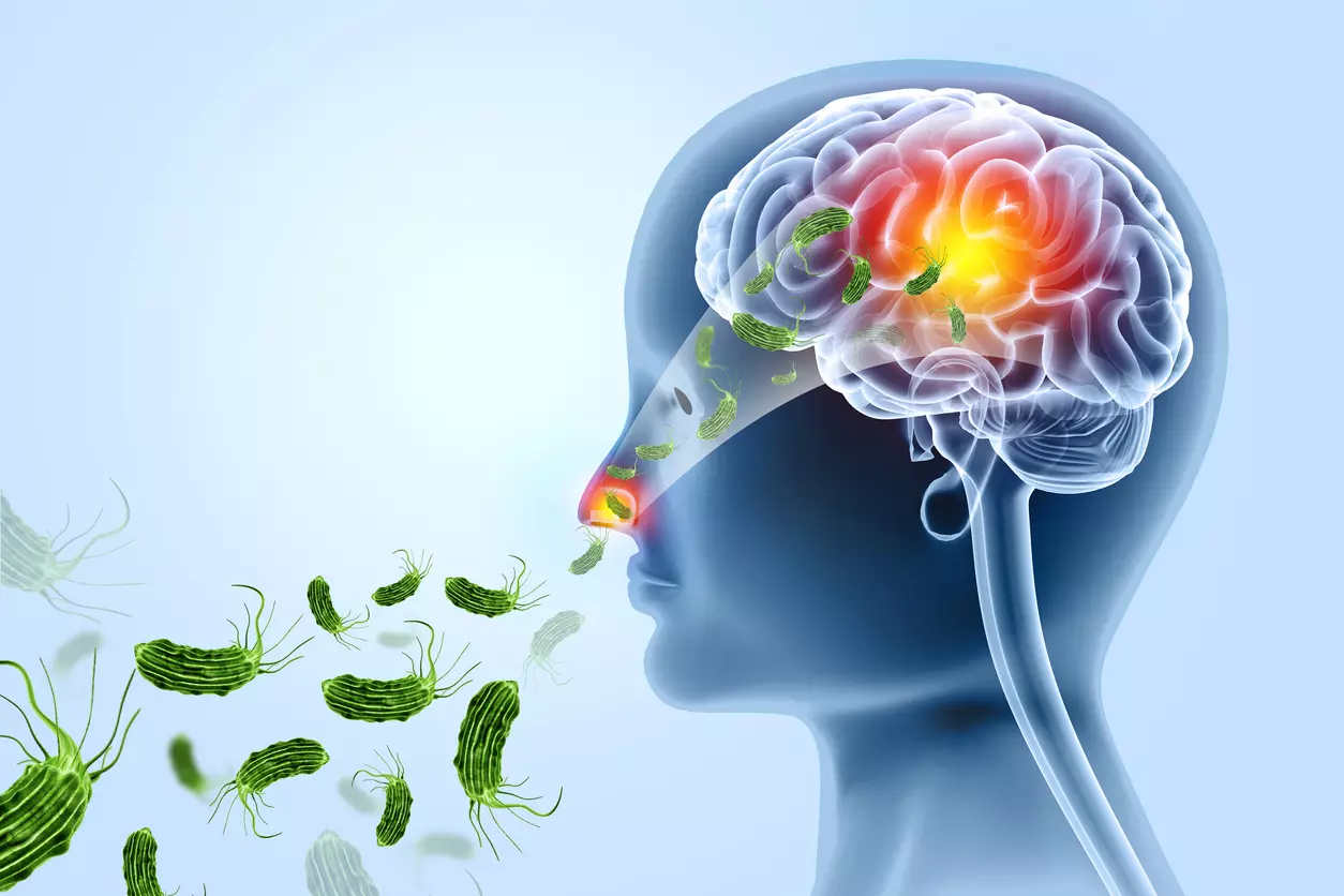 Naegleria fowleri, the brain-eating amoeba, thrives in warm freshwater lakes and rivers. Learn how to protect yourself and your loved ones before diving in this summer. Real stories, expert tips, and safety precautions included.